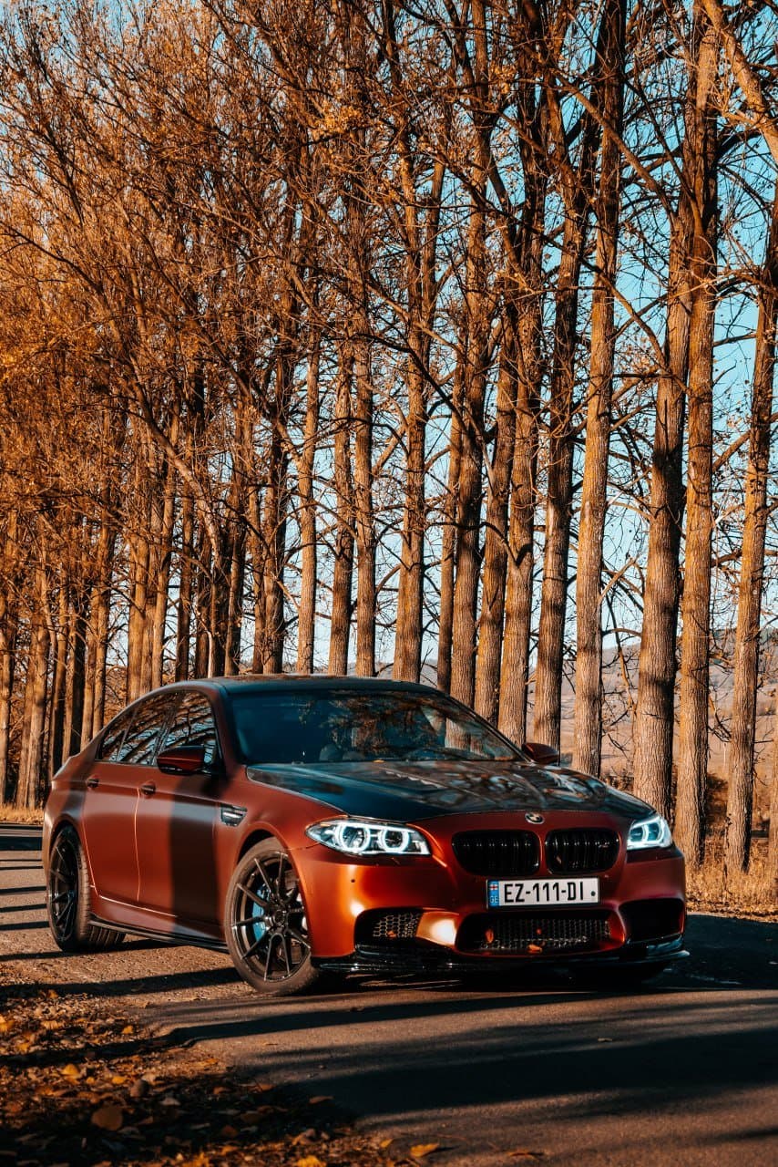 M5